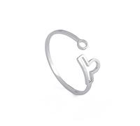 Dreamtimes Anillos del zodiaco de acero inoxidable para mujer 12 signos del zodiaco anillo abierto Aries León Virgo Gemelos Báscula Piscis Escorpión regalo de cumpleaños