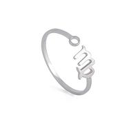 Dreamtimes Anillos del zodiaco de acero inoxidable para mujer 12 signos del zodiaco anillo abierto Aries León Virgo Gemelos Báscula Piscis Escorpión regalo de cumpleaños