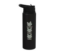 DreamWorks Dragons A Little Feisty Toothless Front & Back Stainless Steel Insulated Water Bottle