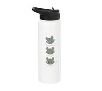 DreamWorks Dragons A Little Feisty Toothless Front & Back Stainless Steel Insulated Water Bottle