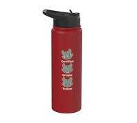 DreamWorks Dragons A Little Feisty Toothless Front & Back Stainless Steel Insulated Water Bottle
