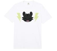 DreamWorks Dragons Everybody Loves Toothless Front & Back Comfort Colors Adult Heavyweight T-Shirt
