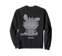 DreamWorks Dragons Tiny Adventures Toothless Sudadera