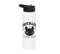 DreamWorks Dragons Toothless A Little Feisty Front & Back Stainless Steel Insulated Water Bottle