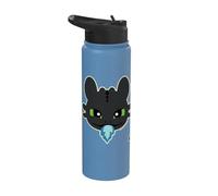 DreamWorks Dragons Toothless Blue Flame Stainless Steel Insulated Water Bottle