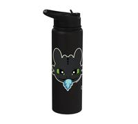 DreamWorks Dragons Toothless Blue Flame Stainless Steel Insulated Water Bottle