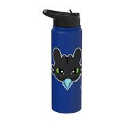 DreamWorks Dragons Toothless Blue Flame Stainless Steel Insulated Water Bottle
