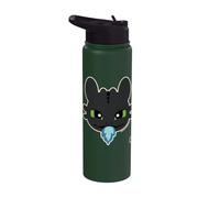 DreamWorks Dragons Toothless Blue Flame Stainless Steel Insulated Water Bottle