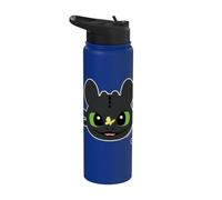 DreamWorks Dragons Toothless Butterfly Fun Stainless Steel Insulated Water Bottle
