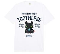 DreamWorks Dragons Toothless Ready To Fly Comfort Colors Adult Heavyweight T-Shirt