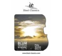 Drei Nächte In Neapel Opus 110 (ebook)