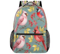 Drekrid Mochila escolar de viaje para hombres y mujeres - Cardinal Berry ligera para niños y niñas, mochila para laptop de 15.6 pulgadas para estudiantes universitarios, escuela secundaria