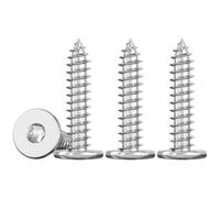 Drenky Tornillos Torx M5 Tornillo Autotaladrante de Cabeza Plana 50 Piezas M5x25mm, Tornillos Roscachapas En Acero Inox V2A Para FijacióN En Madera Y Proyectos DIY