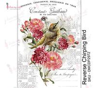 Dress My Craft Transfer Me Sheet A4-Reverse Chirping Bird