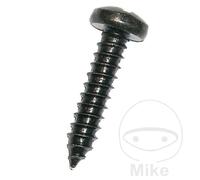 DRESSELHAUS Pack 100 tornillos de chapa 4.2 7981