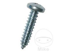 DRESSELHAUS Pack 100 tornillos de chapa 4.2 7981