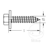 DRESSELHAUS Pack 100 tornillos de chapa con arandela 4.8 6901
