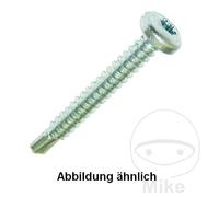 DRESSELHAUS Pack 100 tornillos de perforación 4.8 7504M TORX
