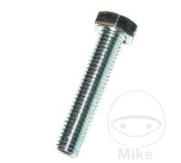 DRESSELHAUS Pack 100 tornillos hexagonal 8 933