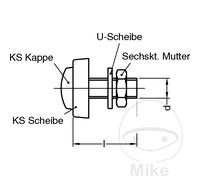 DRESSELHAUS Pack 4 tornillos para placa de matricula 6X20 MM