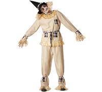 dressforfun 901035 Disfraz para Hombre, Espantapájaros Amistoso, Traje de 4 Piezas, Incl. Sombrero, Fiesta Carnaval Halloween -Varios Tamaños (XL | No. 304603)