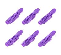 DRESSOOS 6 Piezas Rizador Perezoso Automático Pinzas De Peluqueria Electrodomésticos Herramientas De Peinado Mascota Cabellos Ondulados Clips De Raíz Cerda Vacío Chinos Púrpura Abdominales
