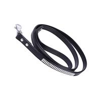 DRESSOOS Correa de Entrenamiento para Perros Correa para Perros caniche cinturón para Correr con Correa para Perro Correa para Correr bozal Correas para pasear Perros Correa de Perro Black