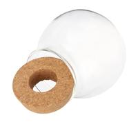 DRESSOOS Jarrón Hidropónico de Vidrio para Plantas de Escritorio, Contenedor de Flores de Agua Tapón, Maceta Hidropónica Pequeña y Decorativa para Cultivo de Agua en Hogar y Oficina