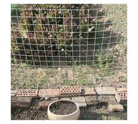 DRFGNF Malla de Alambre soldada de Acero Inoxidable 304 para Plantas Nuevas. Red Flexible de 3 cm para jaulas de Aves de Corral. Cerca para Balcones y escaleras (0,9 x 11 m). Pr