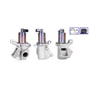 DRI AGR-Ventil Eléctrico Con Juntas Para Ssangyong Rexton Kyron 717720341