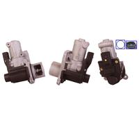 DRI AGR-VENTIL Eléctrico Con Juntas Para VW Passat Variant Touran 717730029