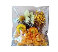 Dried Flowers, Natural Flower Leaves, Real Pressed Botanical Blend, Premium Botanical Quality, Bright Vivid Petals for Candle Resin Crafting, Frame Handcraft Kit Use, Art Projects, Scrapbook