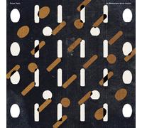 In Memoriam Alvin Lucier. [Vinilo]