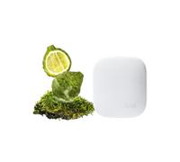 Drift Kit de iniciación de difusor de aroma para el hogar en Forest Walk, difusor ajustable y de larga duración, ingredientes limpios, seguro para mascotas