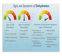 Drink More Water Poster Hydration Wellness Reference Chart