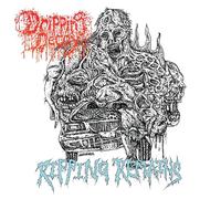 Dripping Decay - Ripping Remains [Vinilo]