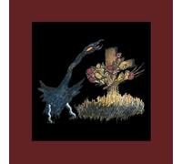 Drive-By Truckers - The Definitive Decoration Day [Vinilo]