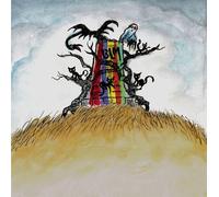Drive-By Truckers The New OK (Vinyl) 12" Album
