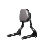 Driver Backrest Respaldo Trasero para Pasajero de Motocicleta para SRV300, SRV250, SRV 250/300, SRV300, SRV250
