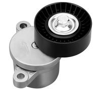 DRIVESTAR 3R3E6B209EE - Tensor de correa con conjunto de polea