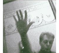 Driving Rain by Paul McCartney (2001-11-09)