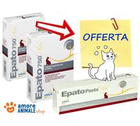 DRN Hepato 750 Plus → 30 Cpr Pasta para Gato - Cuidado I Disturbios