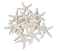 Droagoct 15 Piezas De Color Blanco Cremoso Lápiz Estrellas De Mar para Decoración De Bodas, Decoración del Hogar y Proyectos De