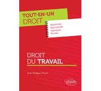 Droit Du Travail (ebook)