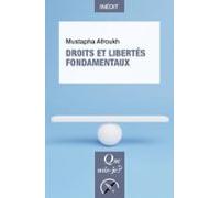 Droits Et Libertés Fondamentaux (ebook)