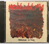 Drowning in fire [Single-CD]