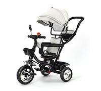 Drumm Triciclo, Triciclo evolutivo, Triciclo Bebe, 3 en 1, neumáticos de Goma a Prueba de explosiones, toldo Ajustable y Varilla Push-Pull, con Canasta y Bolsa de Almacenamiento (Gris)