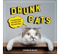 Drunk Cats (ebook)