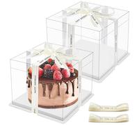 Druuzyl 2 Piezas Caja Tarta Transparente 24x24x18cm - Doble Capa con Base y Cinta, Caja Pastel para Postres/Eventos, Tapa Hermética para Transporte Seguro