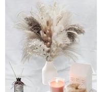 Druuzyl Pampas Secas Decoracion 80 Piezas Hierba de Pampas Secas Naturales de Flores Secas, Ramos de Flores Secas Naturales Decoración para el Hogar para Decoracion Boho Fiestas Bodas